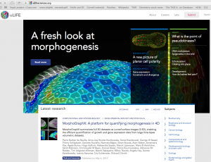MorphoGraphX eLife (May 2015)