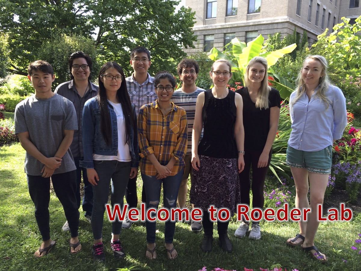 Roeder Lab Web Banner